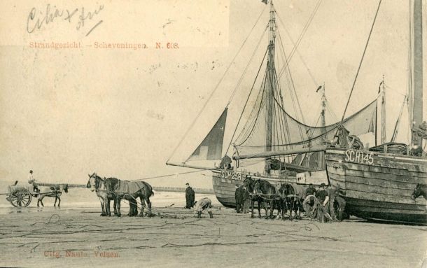 N.00698