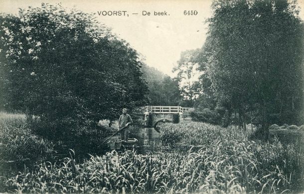 06450