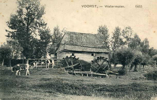 06453
